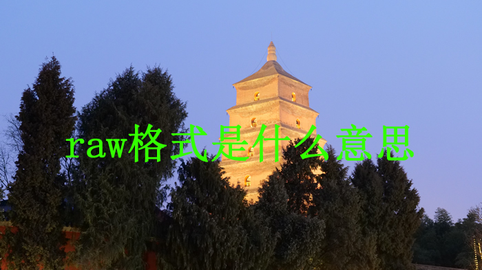 網(wǎng)頁設計raw格式圖片能用嗎?raw是什么格式?